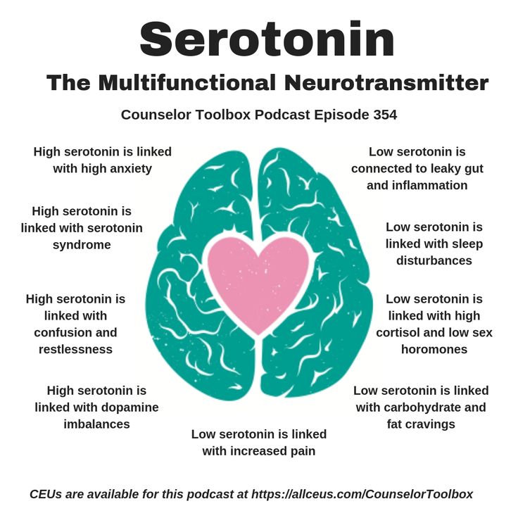 In Counselor Toolbox Podcast Episodes 354-356; 364 https://www.allceus.com/podcast/354-serotonin-the-multifunctional-neurotransmitter/ Learn about Neurotransmitters and Your Mood: Serotonin, GABA, Dopamine and Norepinephrine  CEUs are available at https://www.allceus.com/member/cart/index/product/id/960/c/ Serotonin Syndrome, Brain Facts, Mental Health Therapy, Brain Science, Medical Knowledge, Medical Education, Anatomy And Physiology, Mental And Emotional Health, Health Info