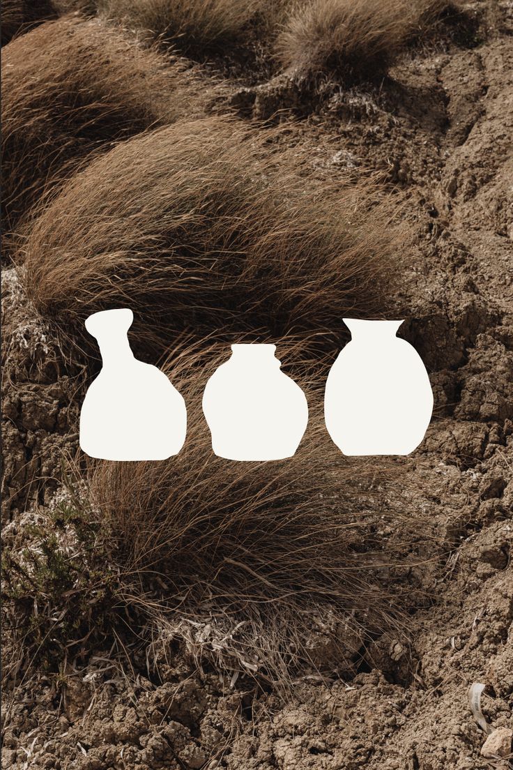 three white vases sitting in the dirt