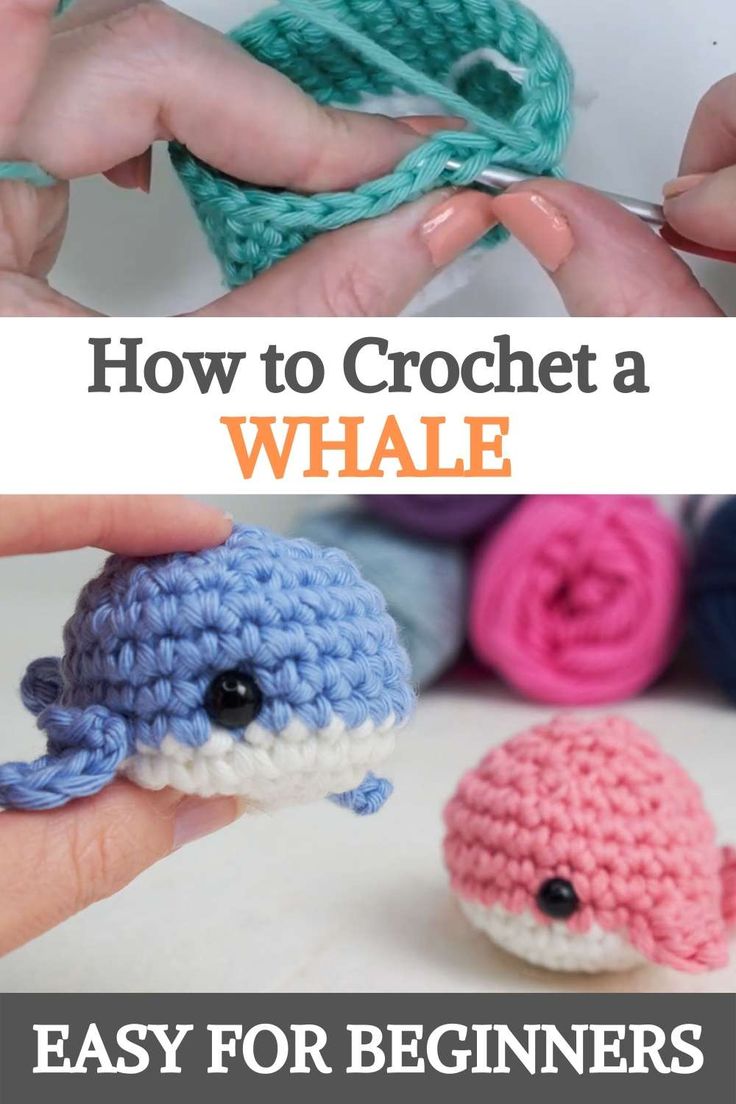 crochet how to make a whale for beginners with pictures and text overlay