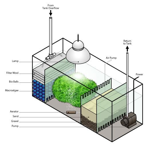 diagram of the inside of a greenhouse