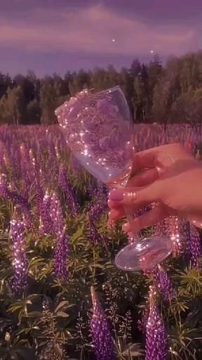 a person holding a wine glass in front of a field full of purple wildflowers