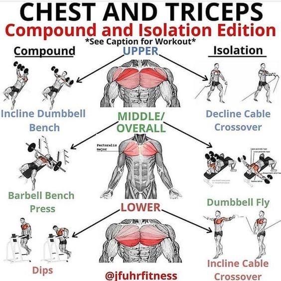 the chest and triceps workout guide for beginners is shown in this diagram