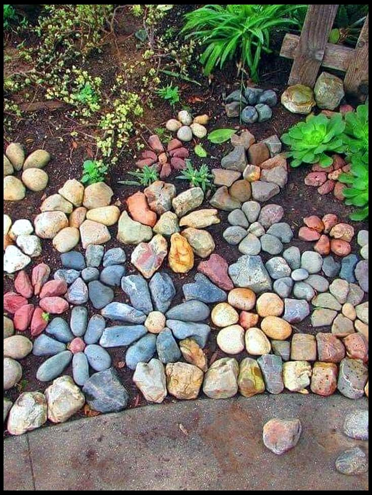 a garden with rocks and plants on the ground