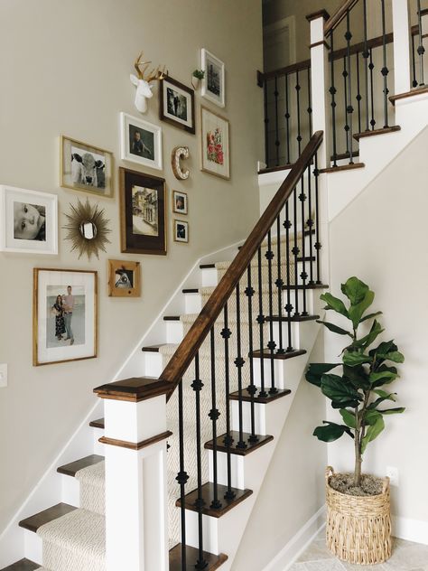 a staircase with pictures on the wall and a potted plant