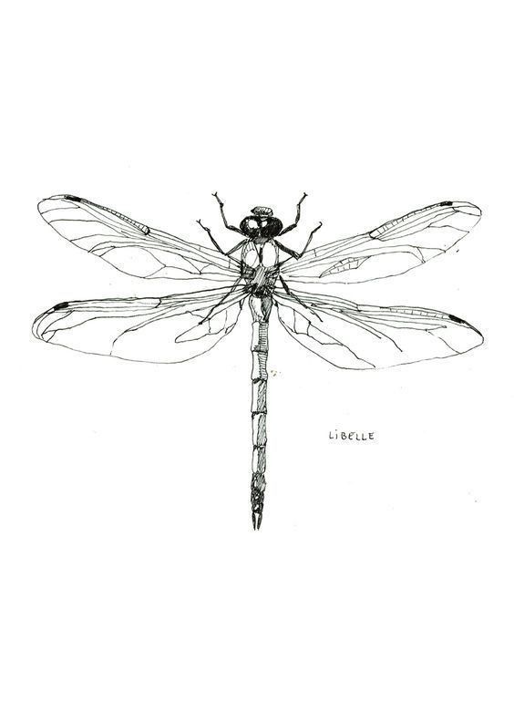 a black and white drawing of a dragonfly