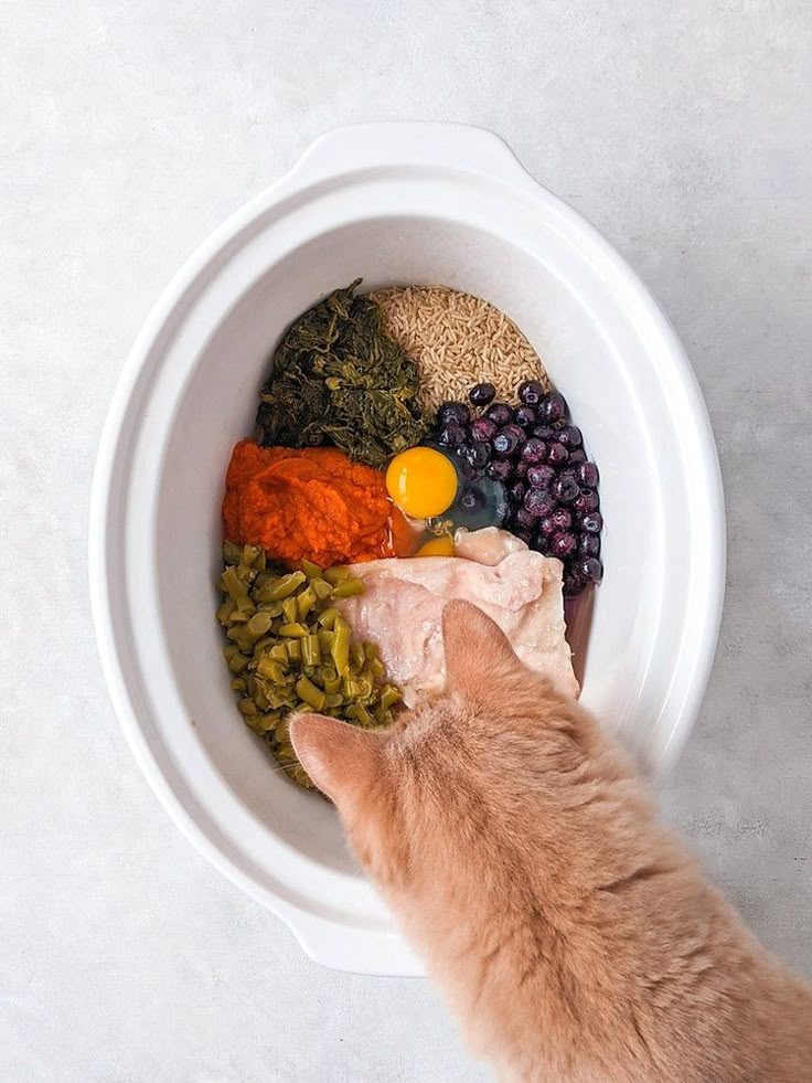 an orange cat reaching into a white bowl filled with different types of vegetables and meats