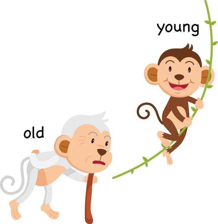 a monkey and an old man on a branch with the word young written below it