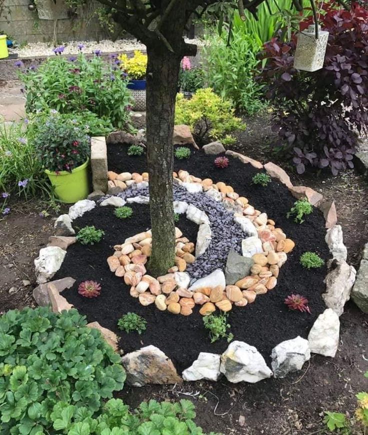 a tree in the middle of a garden with rocks and plants around it, surrounded by gravel