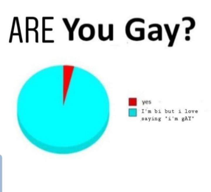 a pie chart with the words are you gay?