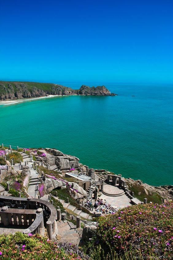 an aerial view of the ocean and beach from atop a hill with flowers growing on it