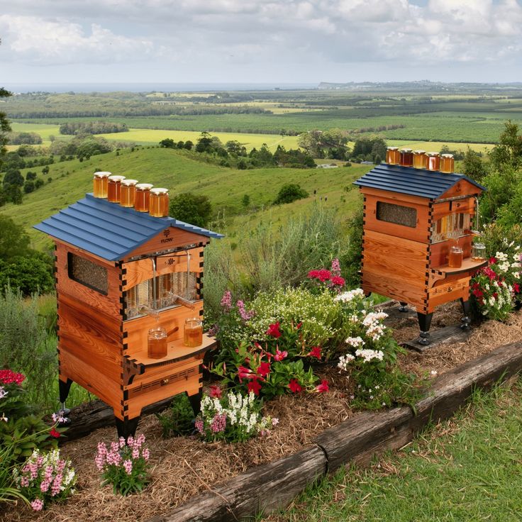 two wooden beehives sitting next to each other on top of a lush green field