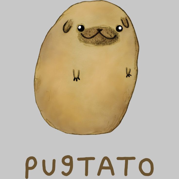 a drawing of a potato with the words pugtato on it's side