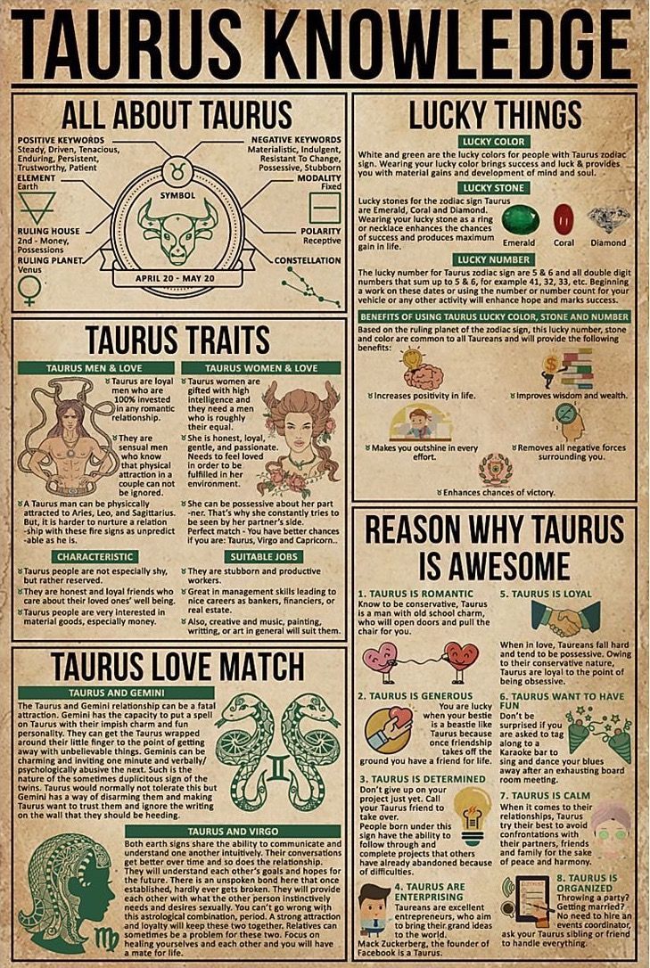 an old poster with some information about tauruss and what they mean to them