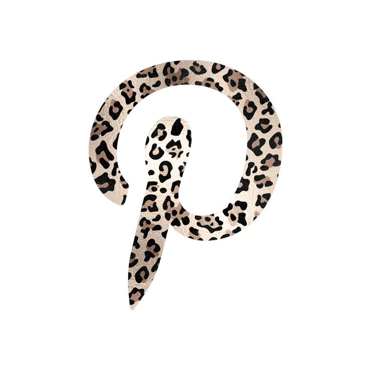 Leopard Print Homescreen, Leopard Print Widget, Cheetah App Icon, Leopard Widget, Leopard Print App Icons, Cheetah Print App Icons, Pinterest Logo Aesthetic, Homescreen App Icons, Aesthetic Icons For Apps