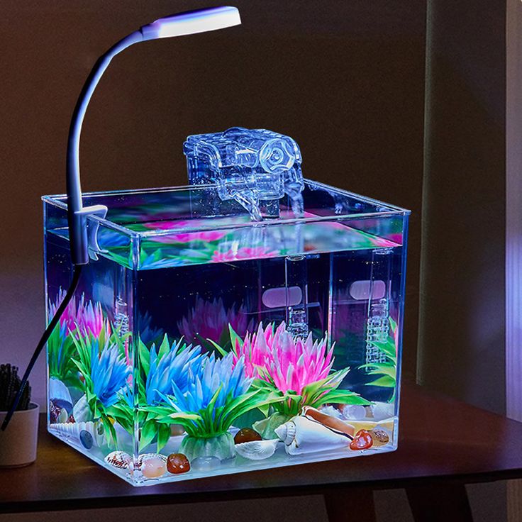 a fish tank with plants and rocks in it on a table next to a lamp