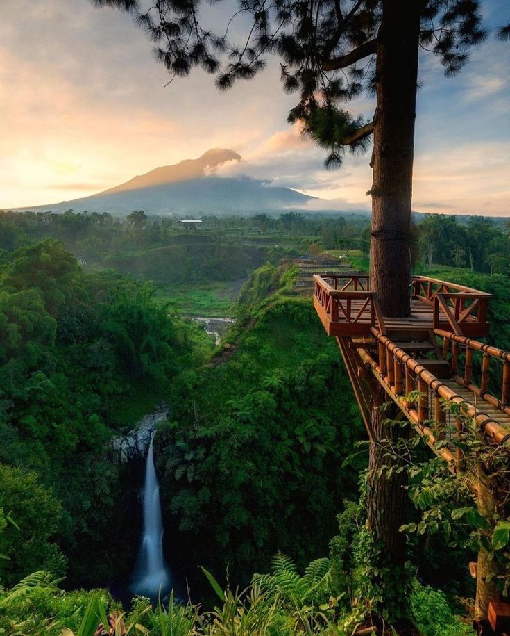 a wooden bridge over a river in the middle of a lush green forest with a waterfall