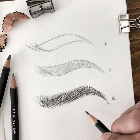 pencils are laying on top of a piece of paper with different types of eyebrows