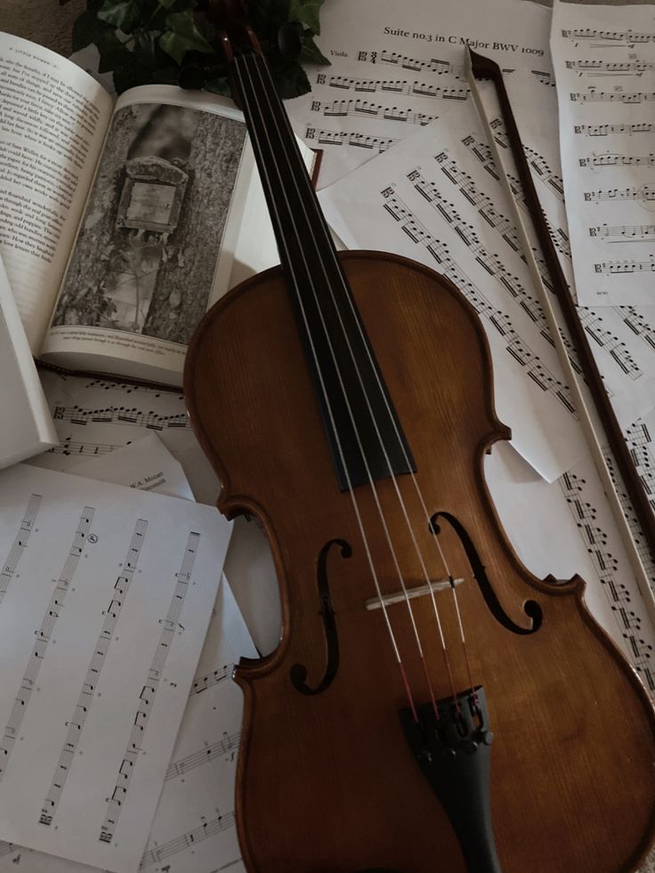 a violin sitting on top of sheet music next to an open book and some flowers