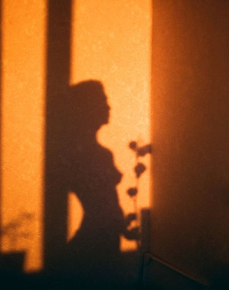 the shadow of a person standing in front of a wall holding a vase with flowers