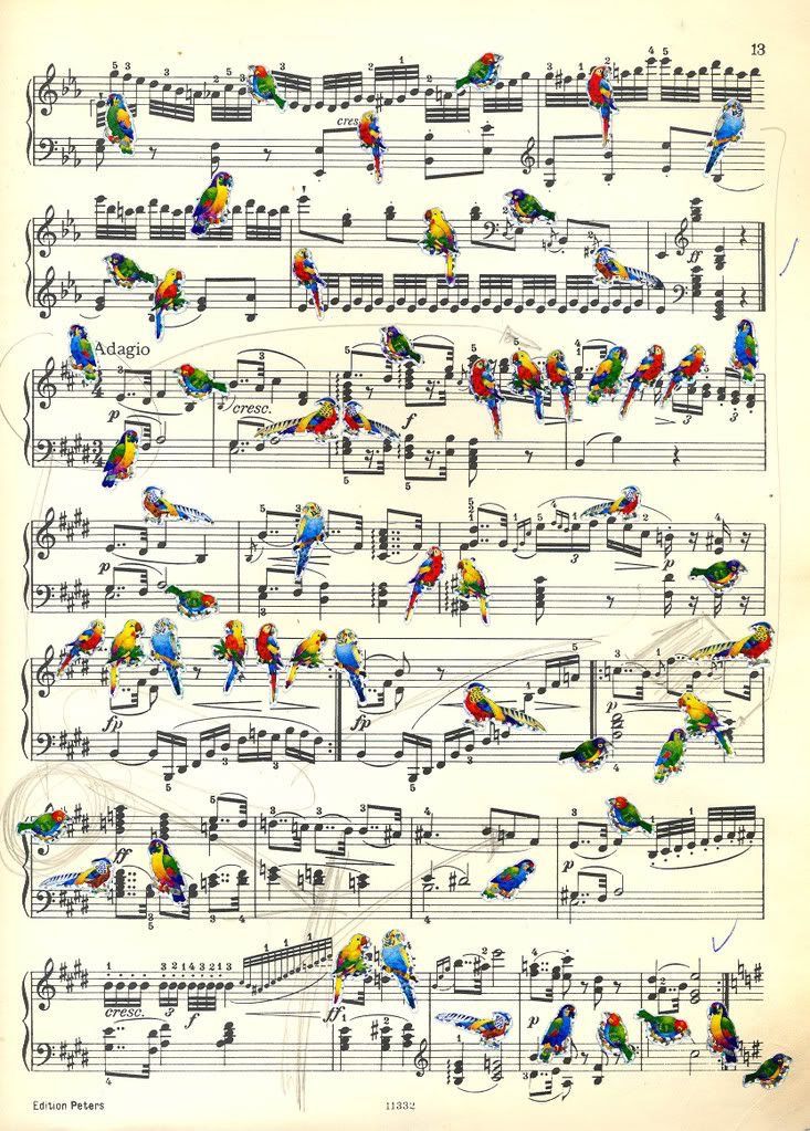 an old sheet music with colorful birds and musical notations on the front, in white paper