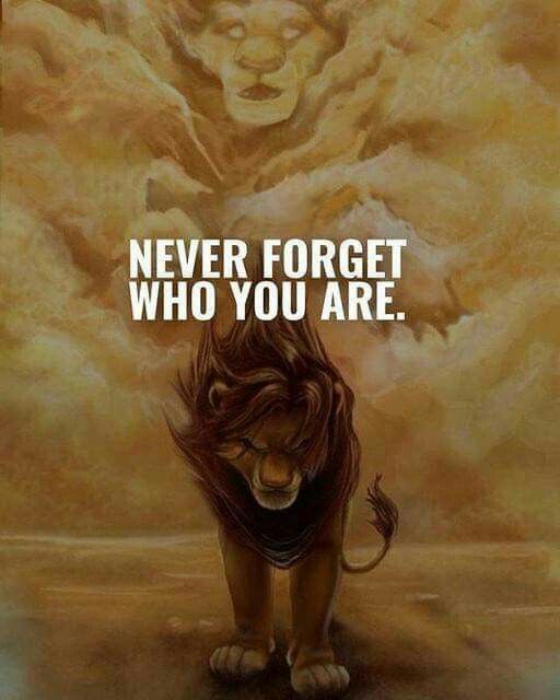 a lion with the words never forget who you are on it's face and an image of a lion in the background