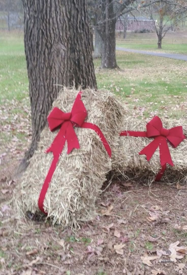 two red bows tied to hay in front of a tree