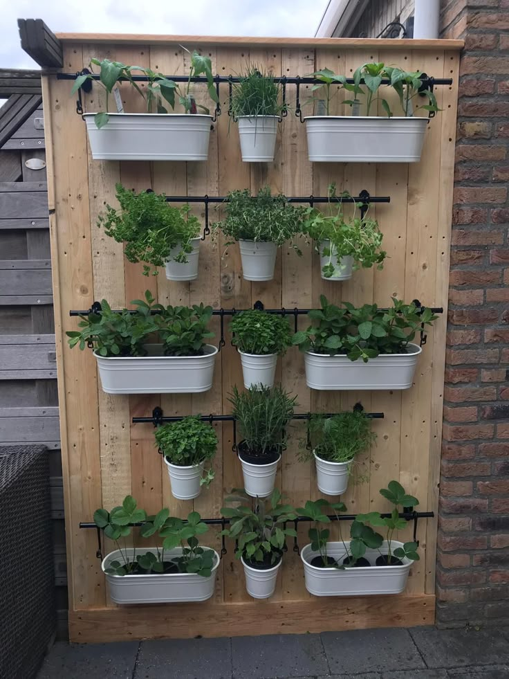 an outdoor herb garden with potted plants hanging on a wooden wall and attached to the side of a building