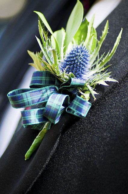 a boutonniere with a thistle flower and green leaves on it's lapel