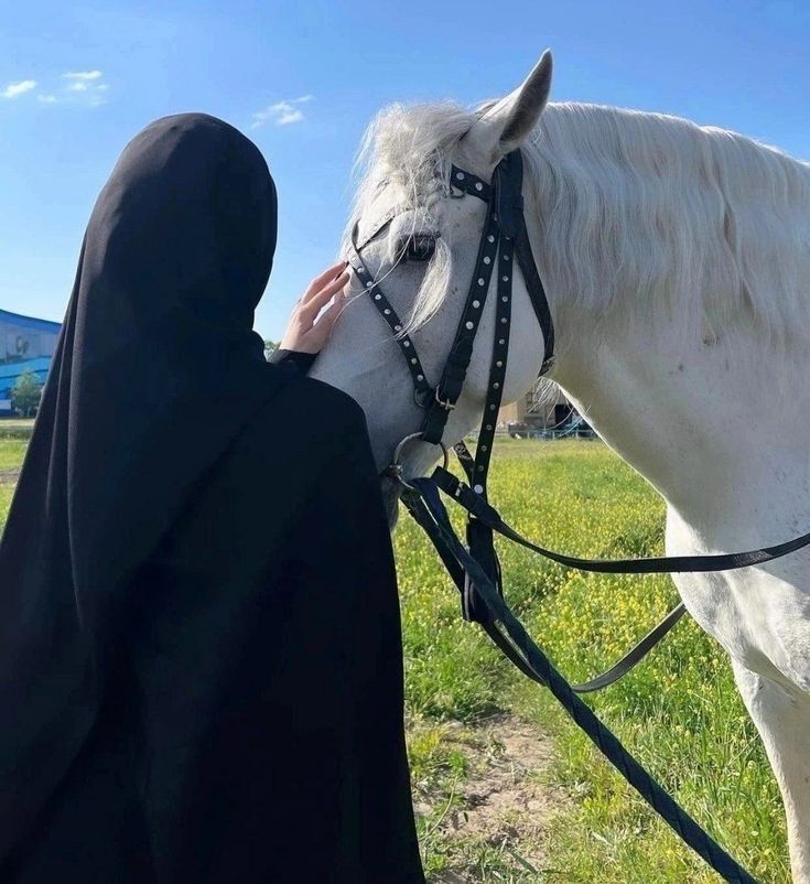 a person in a black robe petting a white horse on the side of a road