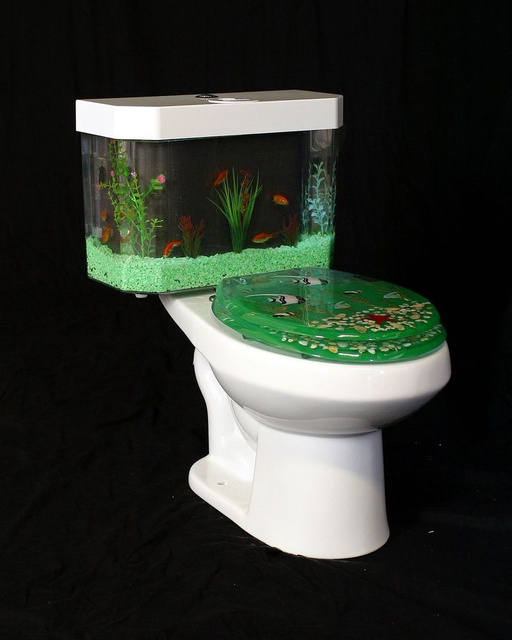 a white toilet with a fish tank on the lid and green algae in the bowl