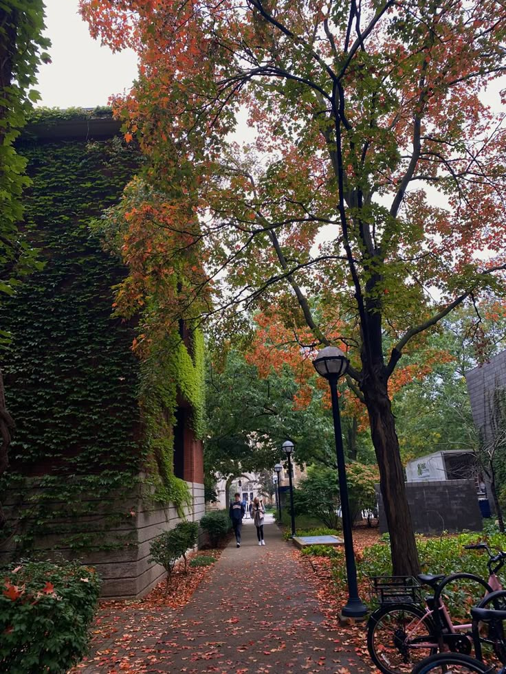 people are walking down an alley in the fall