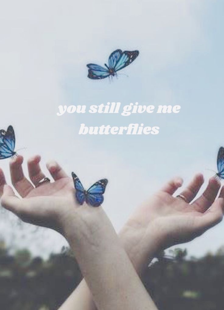 two hands holding butterflies with the words you still give me butterflies