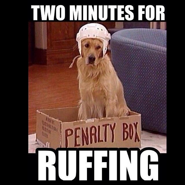 a dog sitting in a box that says two minutes for ruffining on it