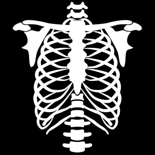 an image of the ribs in white on a black background, with no visible ribcage