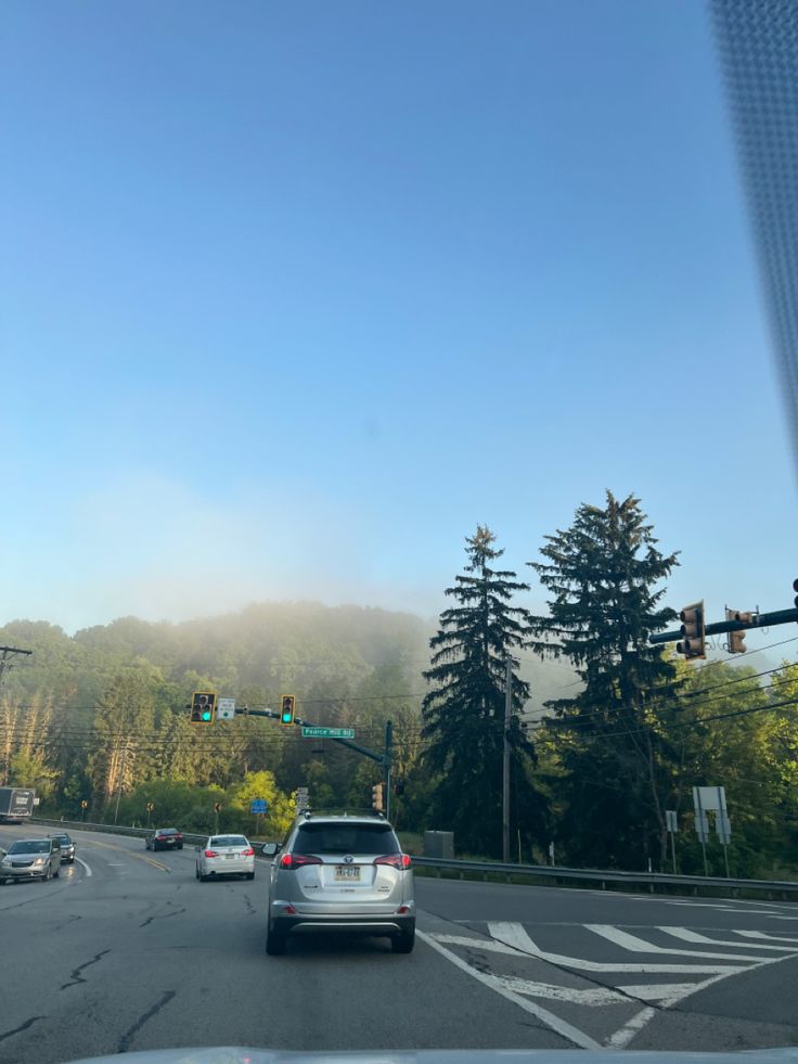 cars are driving down the road in front of some trees and traffic lights on a foggy day