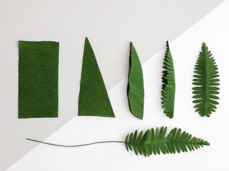 green leaves laid out on top of each other next to a piece of paper that has been cut in half