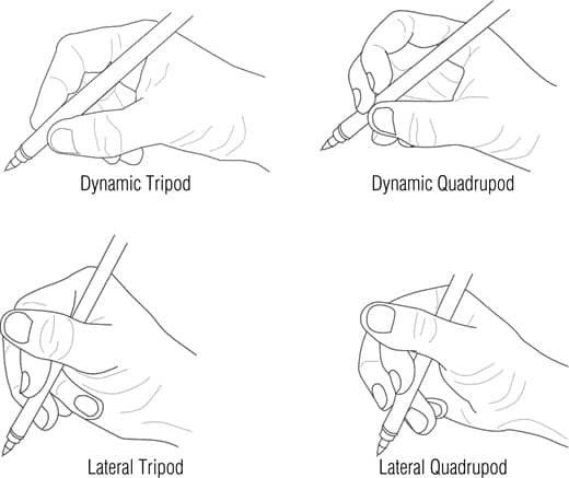 four different types of hands holding pencils and writing with the words dynamic quadrupd