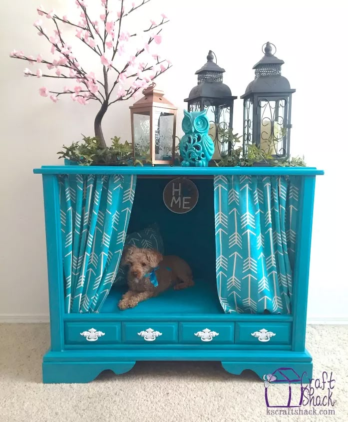 a small dog is sitting in an old dresser with curtains on the front and side