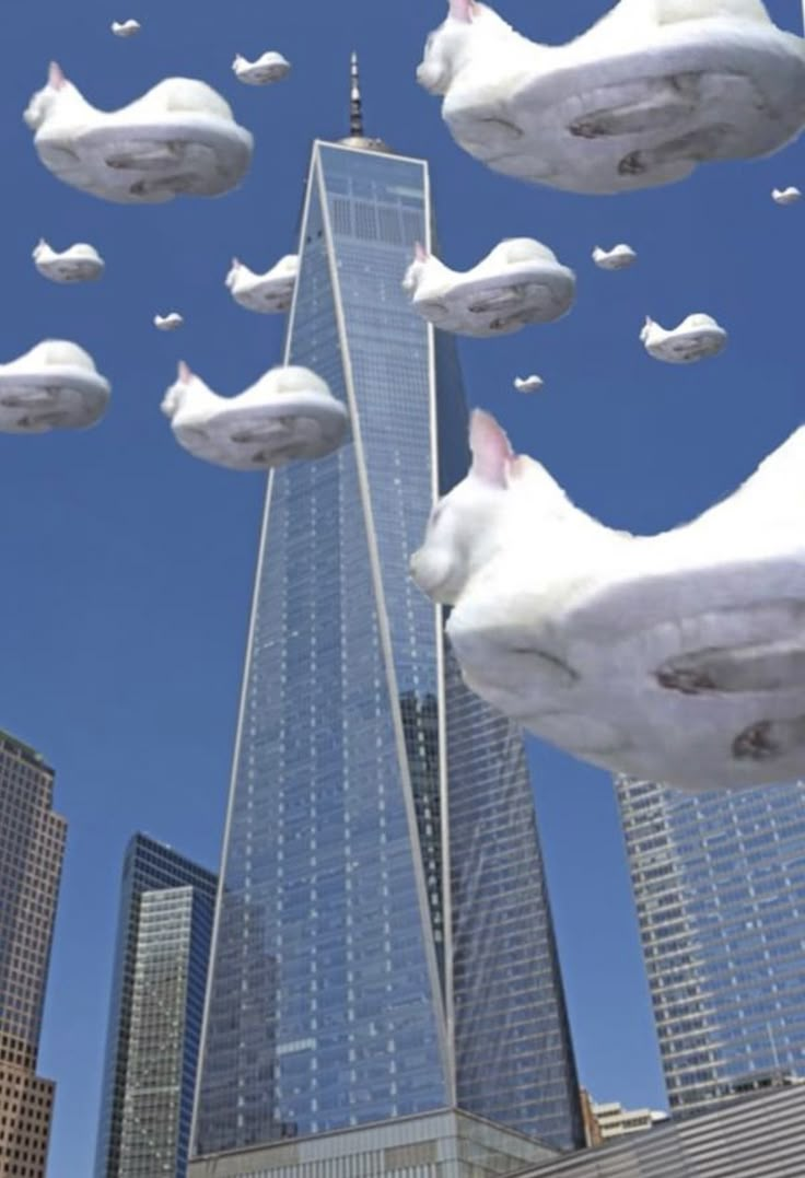 several white cats flying in the air over a city with tall buildings and skyscrapers