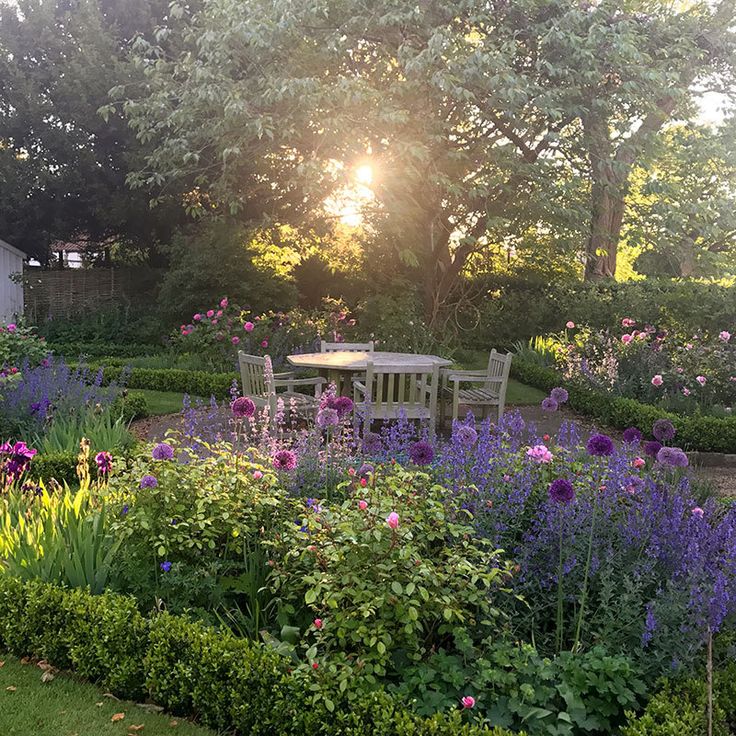 the sun shines brightly through the trees and bushes in this garden with purple flowers