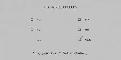 a piece of paper with words and pictures on it that say do princesses bleed?