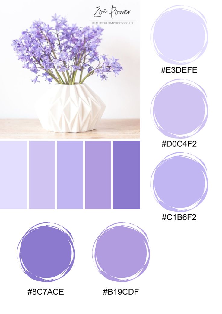 the color scheme for purple is shown here