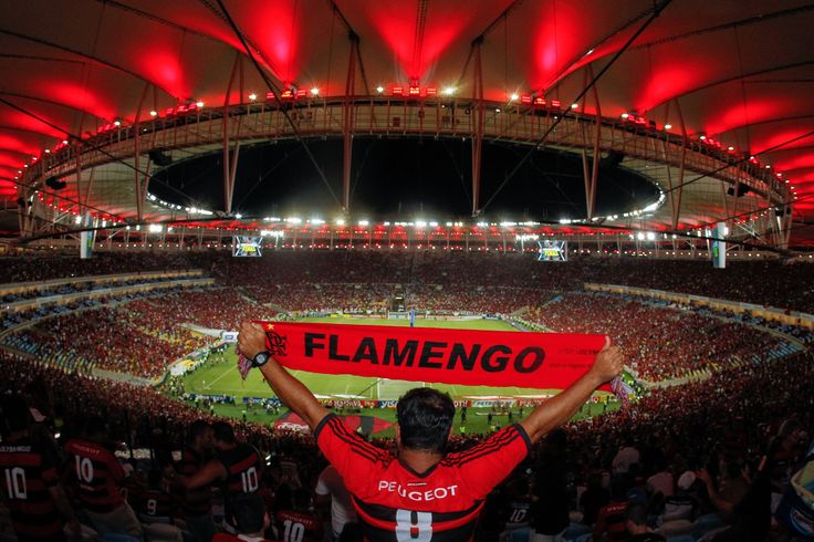 a man holding up a red flamenco sign in front of a stadium filled with people