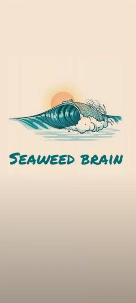 the logo for seaweed brain