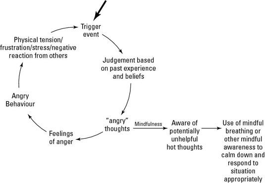 Anger and Mindfulness Anger Cycle, Healthy Anger, Energy Drainers, Counselling Tools, I Am Statements, Lack Of Energy, Anger Management, Energy Level, Healing Journey