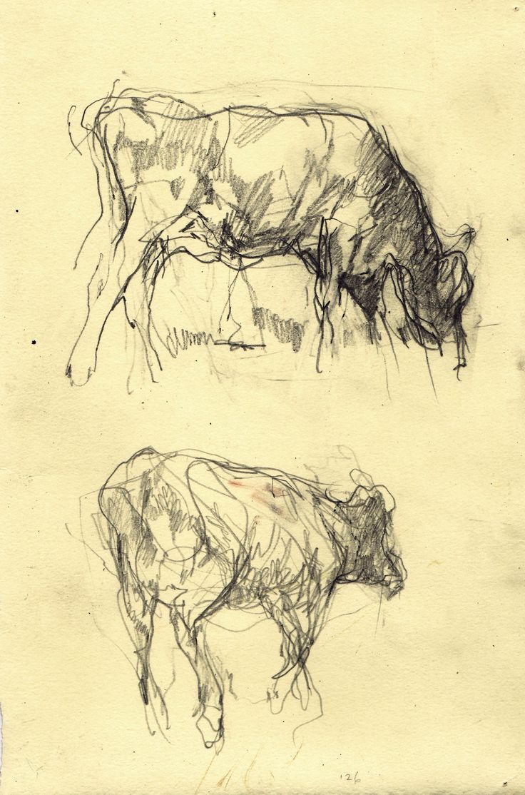 two drawings of cows standing next to each other