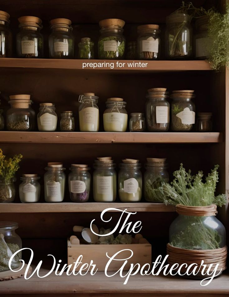 the winter apothecary book cover with jars filled with herbs and herbstuffs