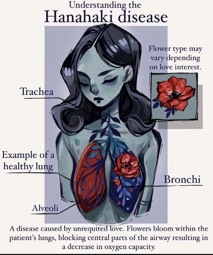 an illustrated diagram of the human body with labels on its chest, lungs and heart