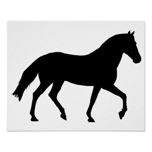 a black and white silhouette of a running horse on a white background, with room for text