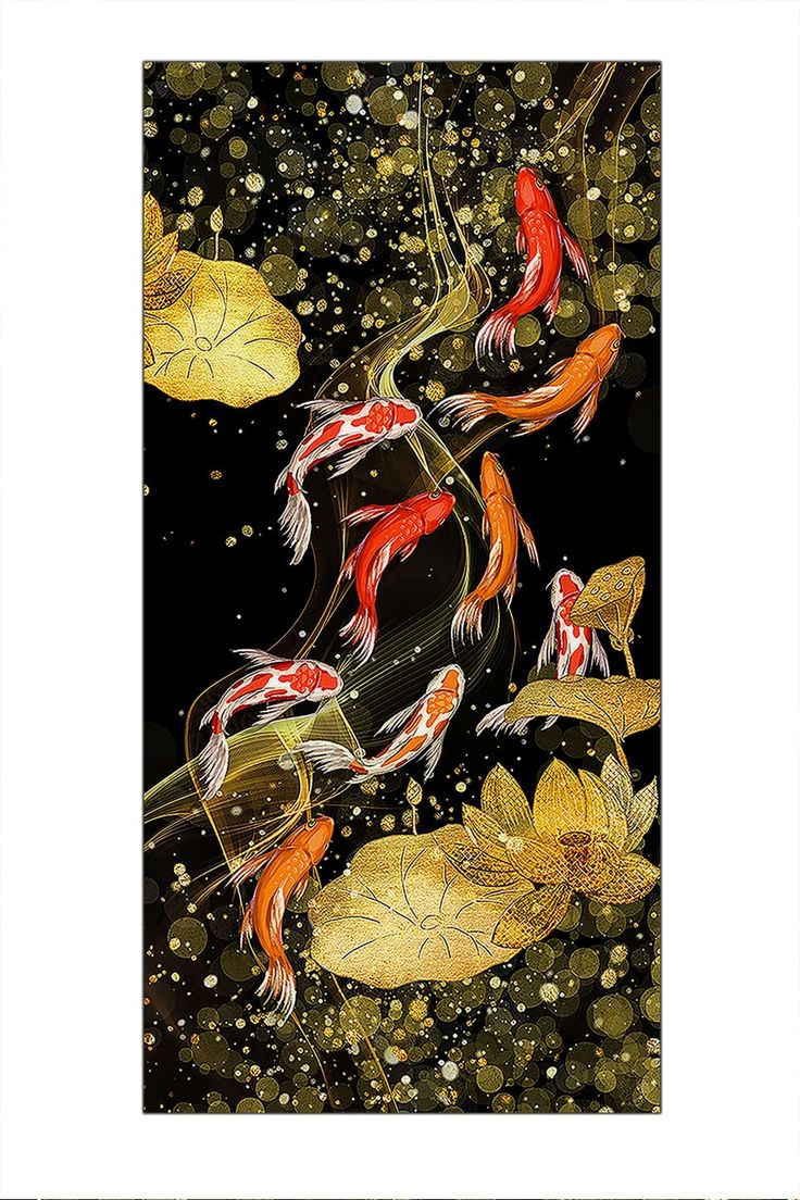 three koi fish swimming in the pond framed print